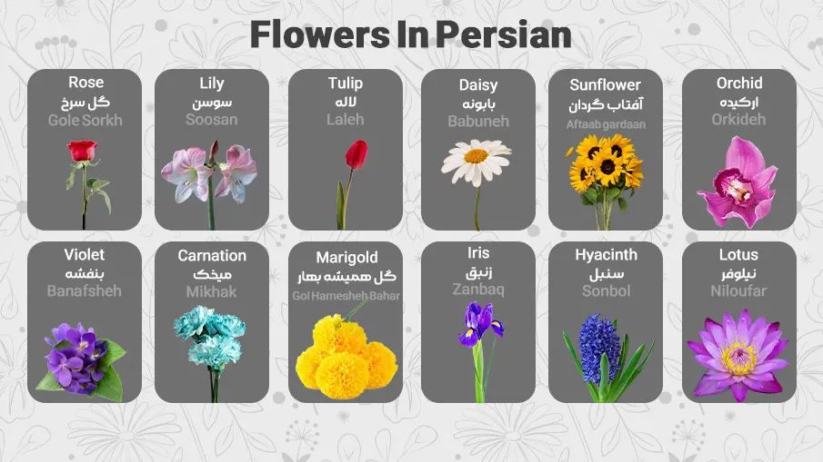 flower names in farsi with pronunciation