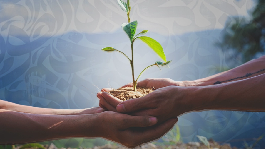 10 Beautiful Words in Farsi 1 Omid in Farsi